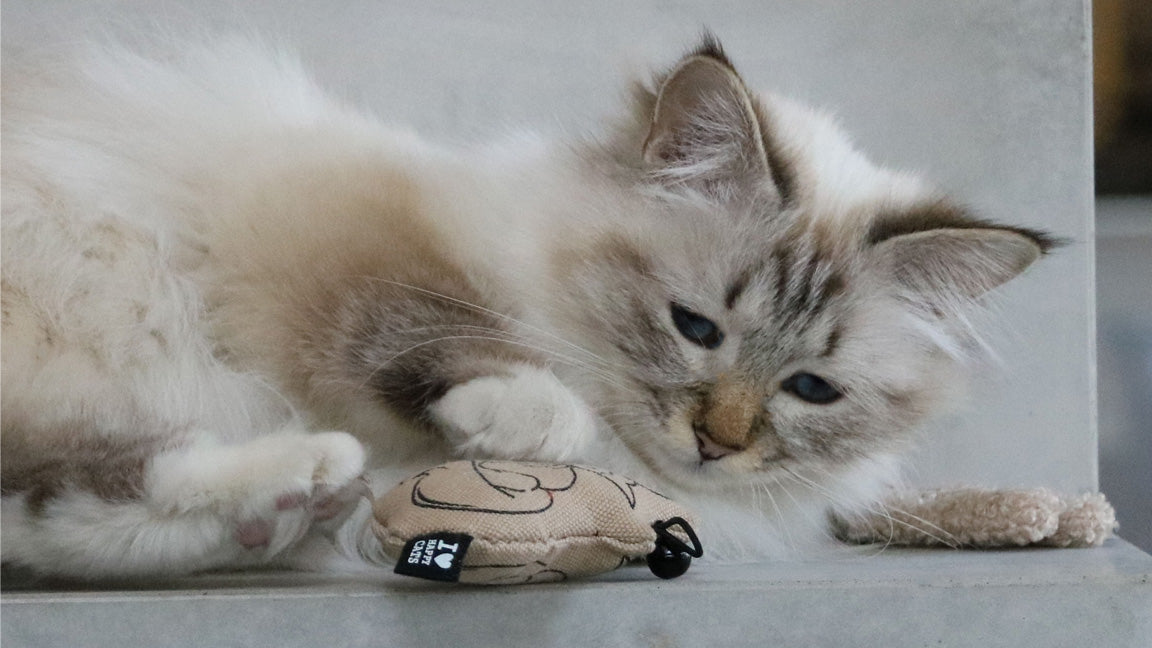 HAPPY CATS Bell toy