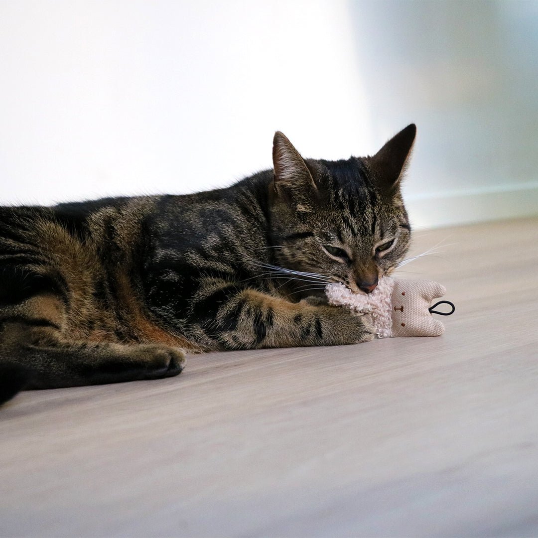 ALFIE Katzenspielzeug