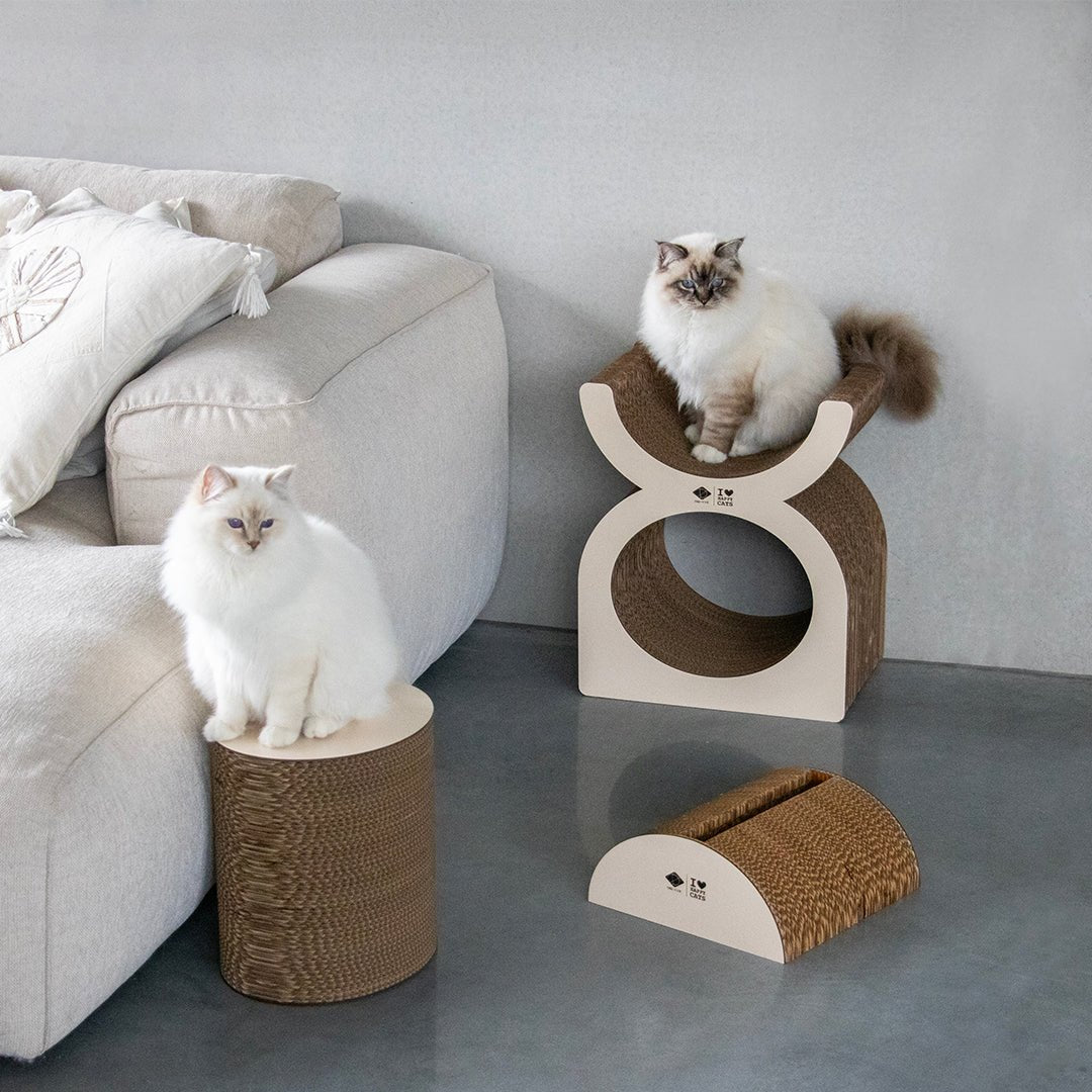 FAYE - Kratz-Lounge