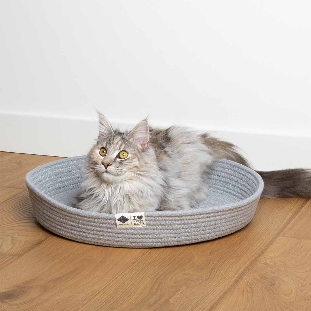 Jess Katzenkorb