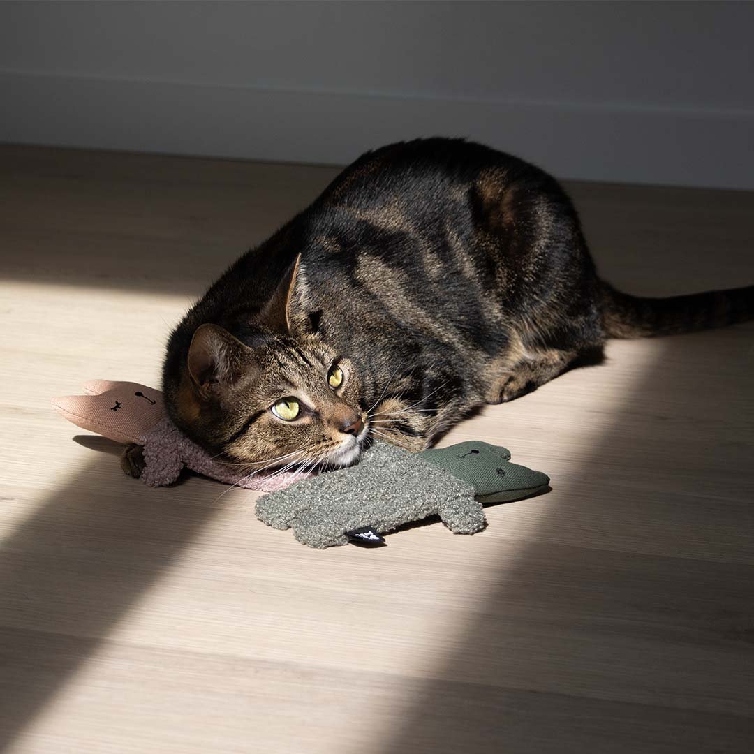ALFIE XL - Katzenspielzeug