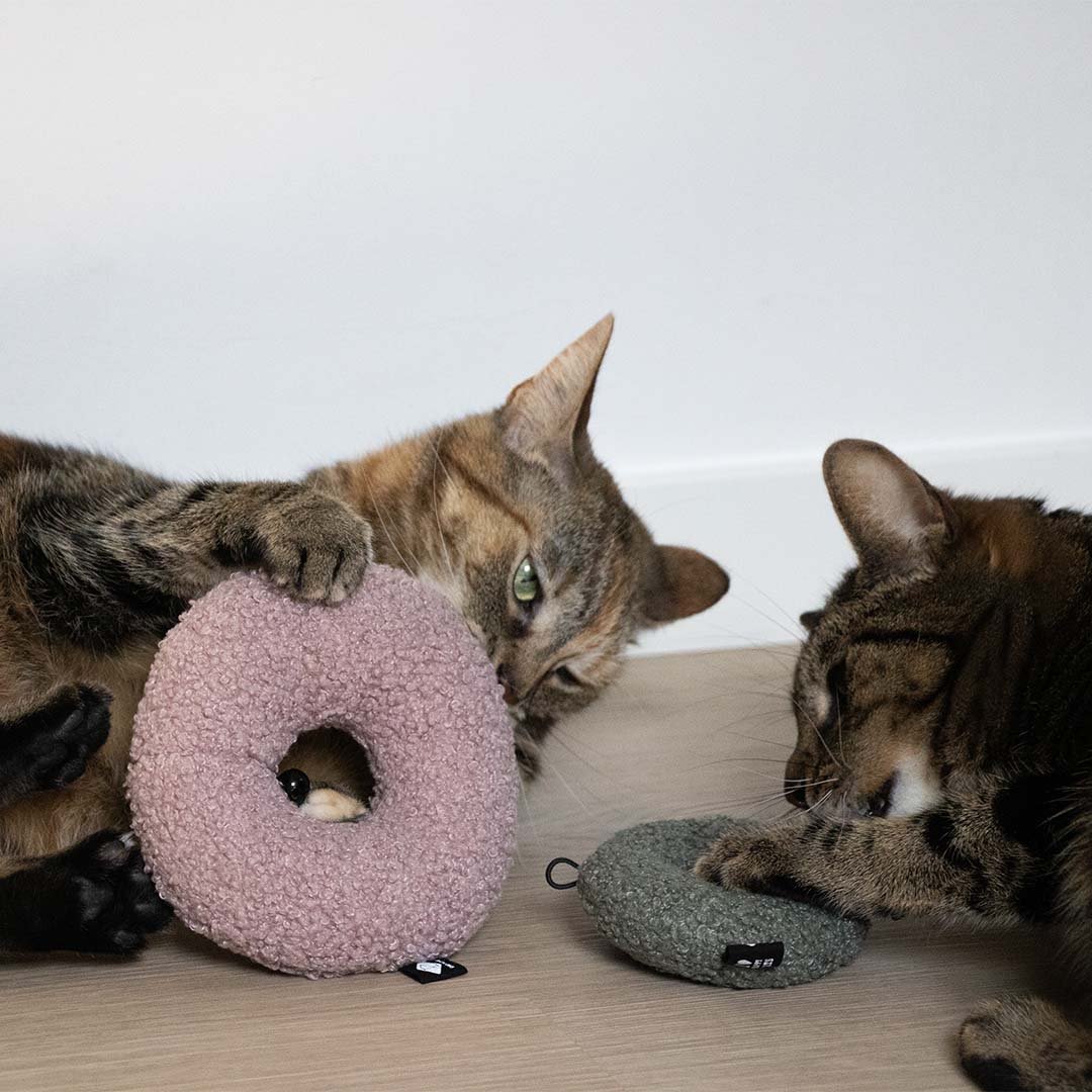 MAPLE - Katzenspielzeug