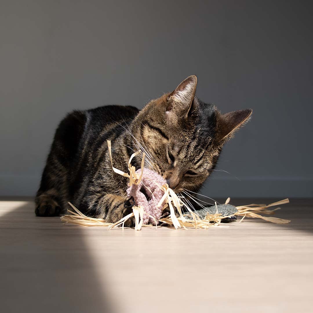 MILLY - Katzenspielzeug