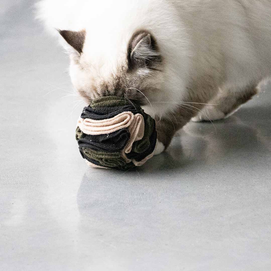 SIMON - Snackball