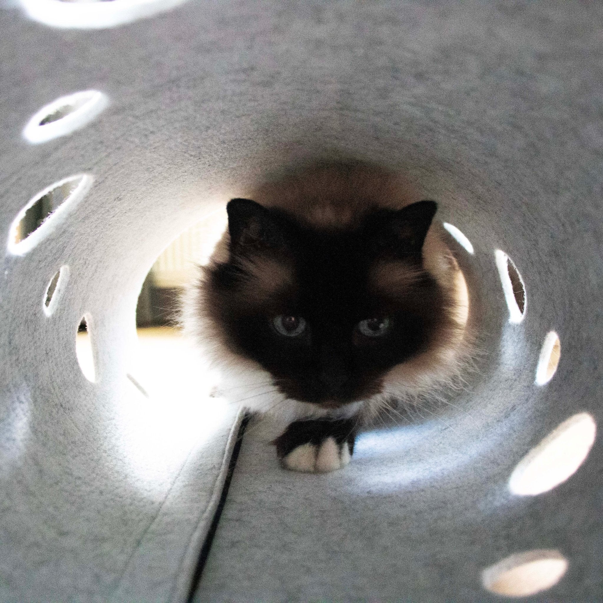 Spieltunnel LANA