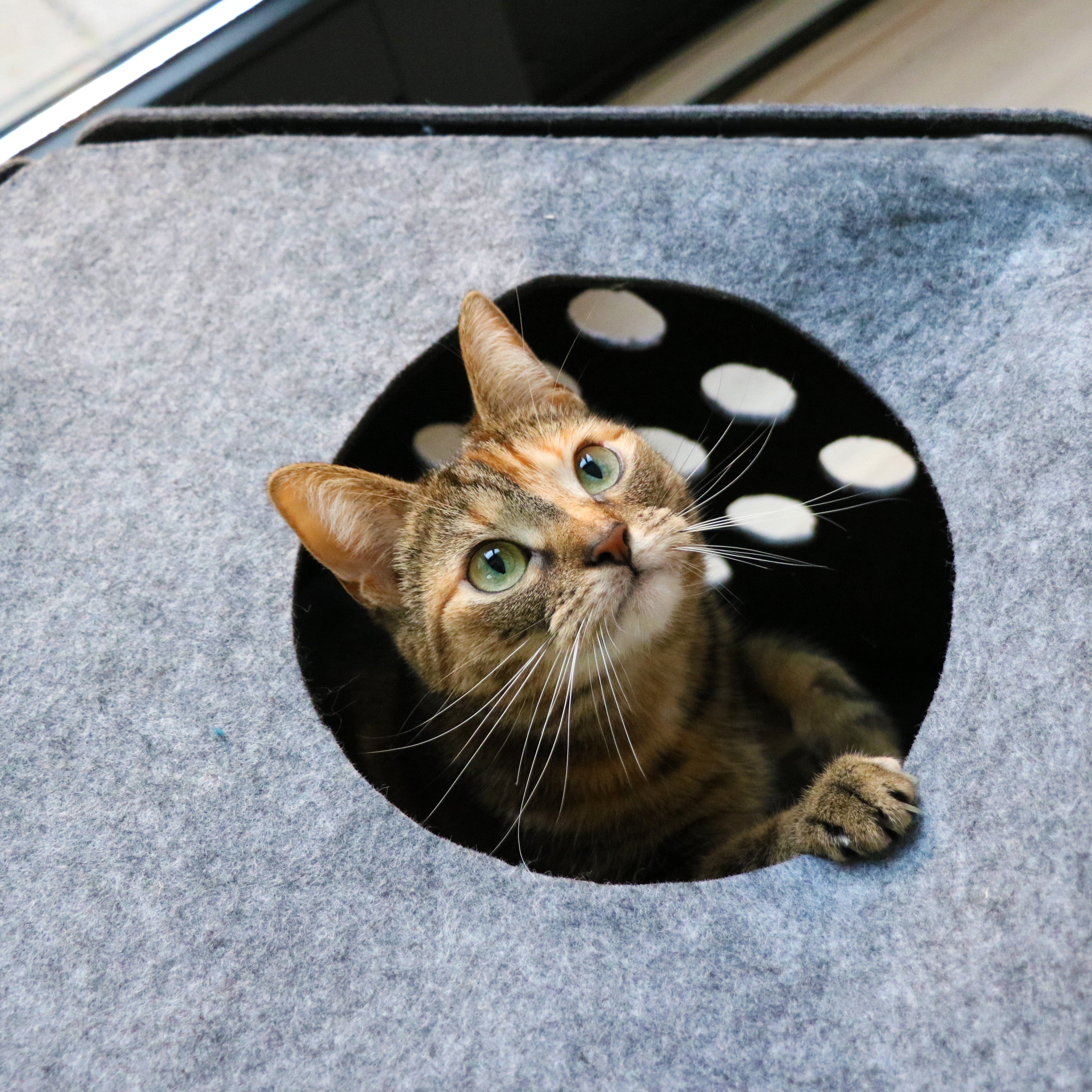 NALA Felt Play Cube