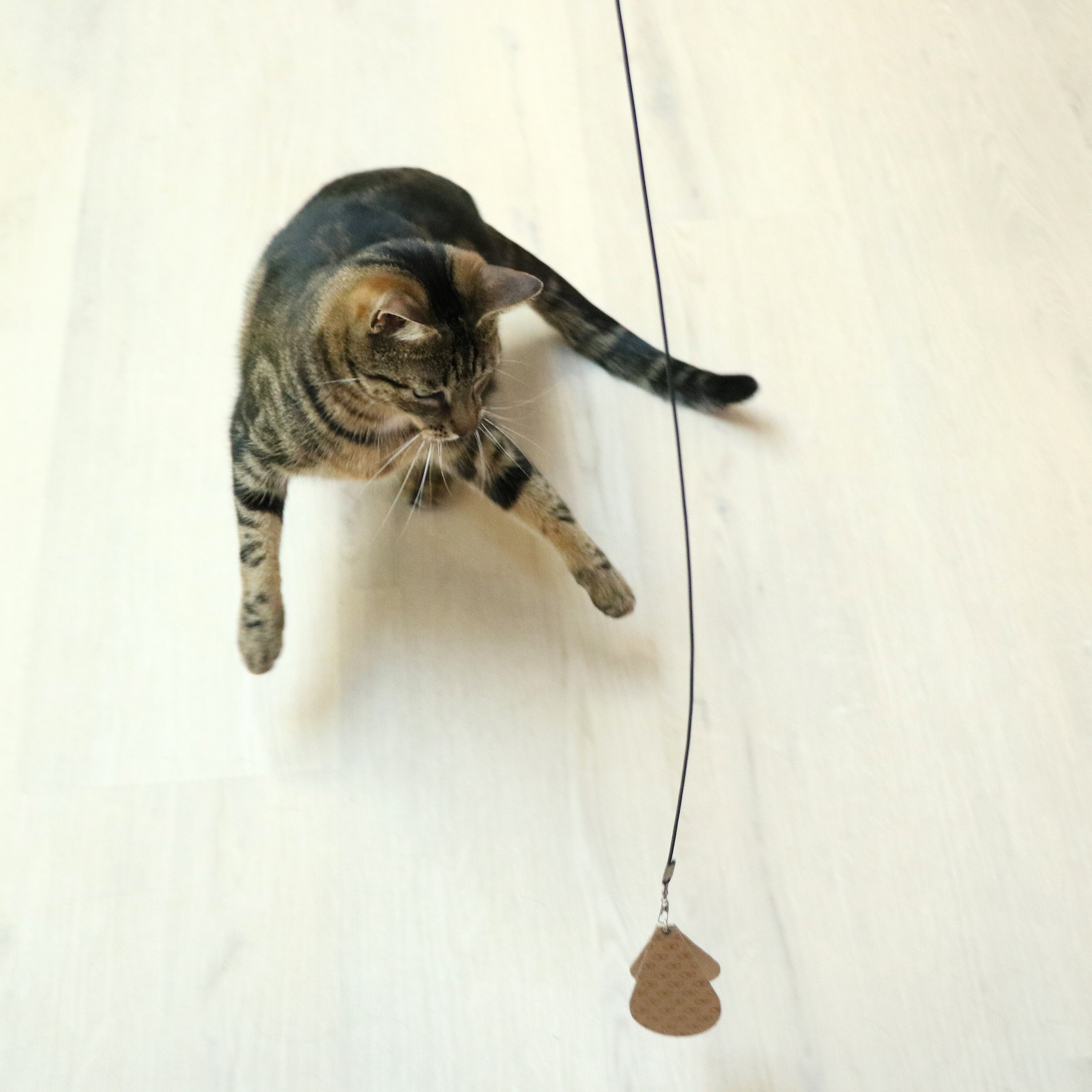 CONNOR Telescopische speelhengel