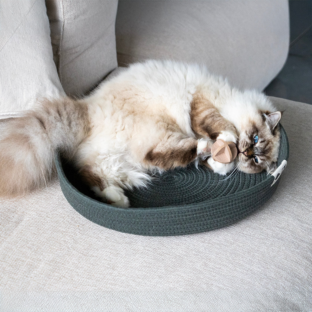 Charlie Vilten Speelballetje