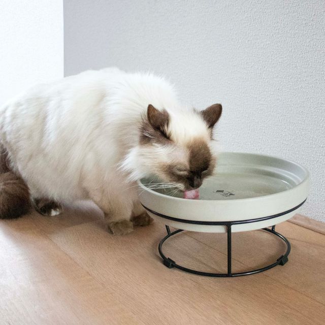 Standaard DASH 2-in-1 voor SUE & ACE Zwart