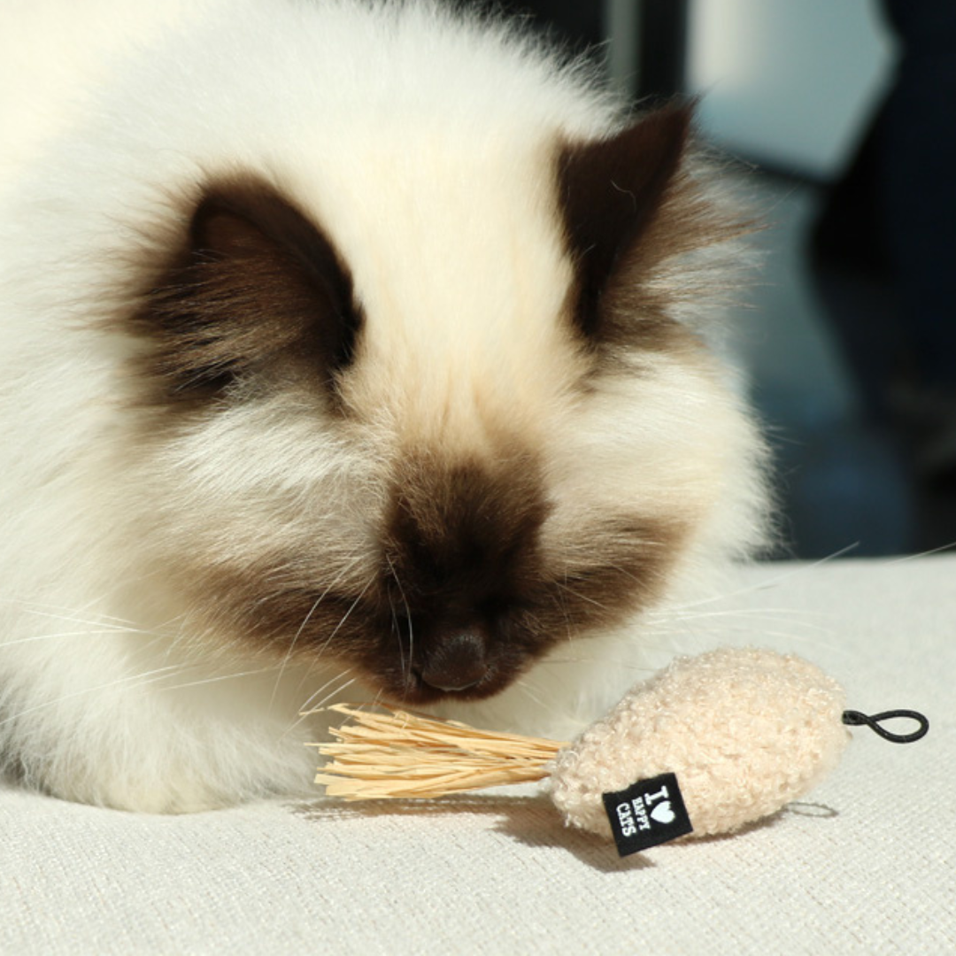 JAVE, JOY, JUNE Cat toy with raffia