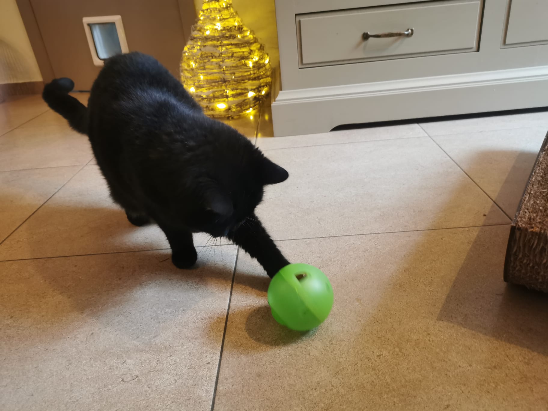 Slimcat antischrok Kattenvoerbal
