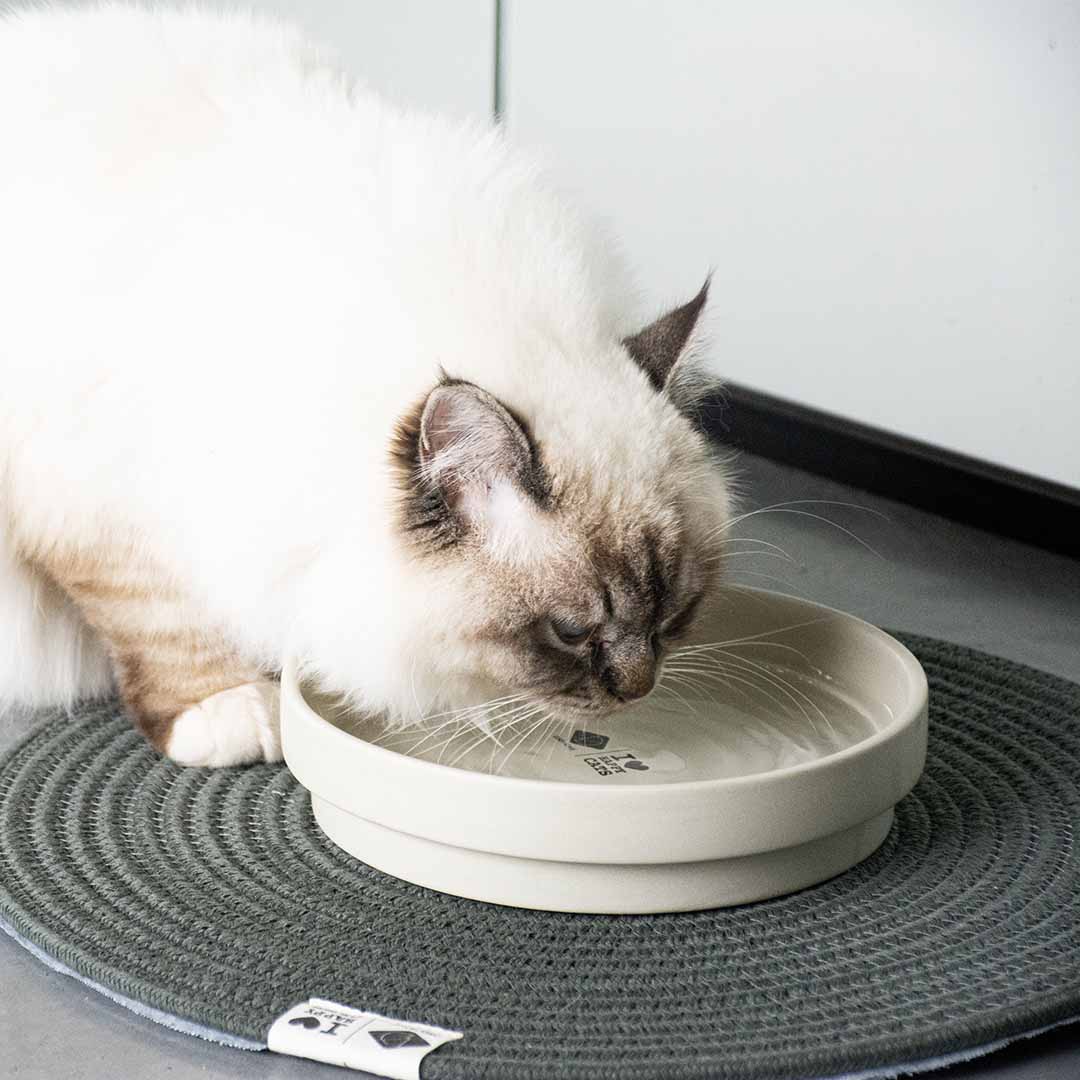 ACE - Trinknapf