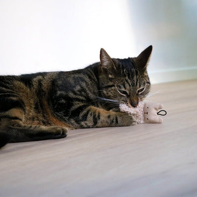 ALFIE Katzenspielzeug