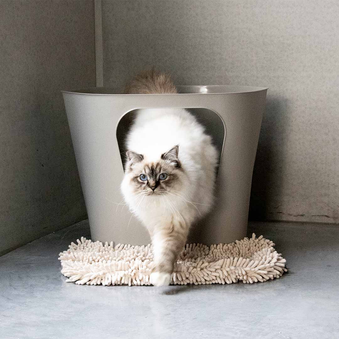 DAISY - Katzenklo-Matte