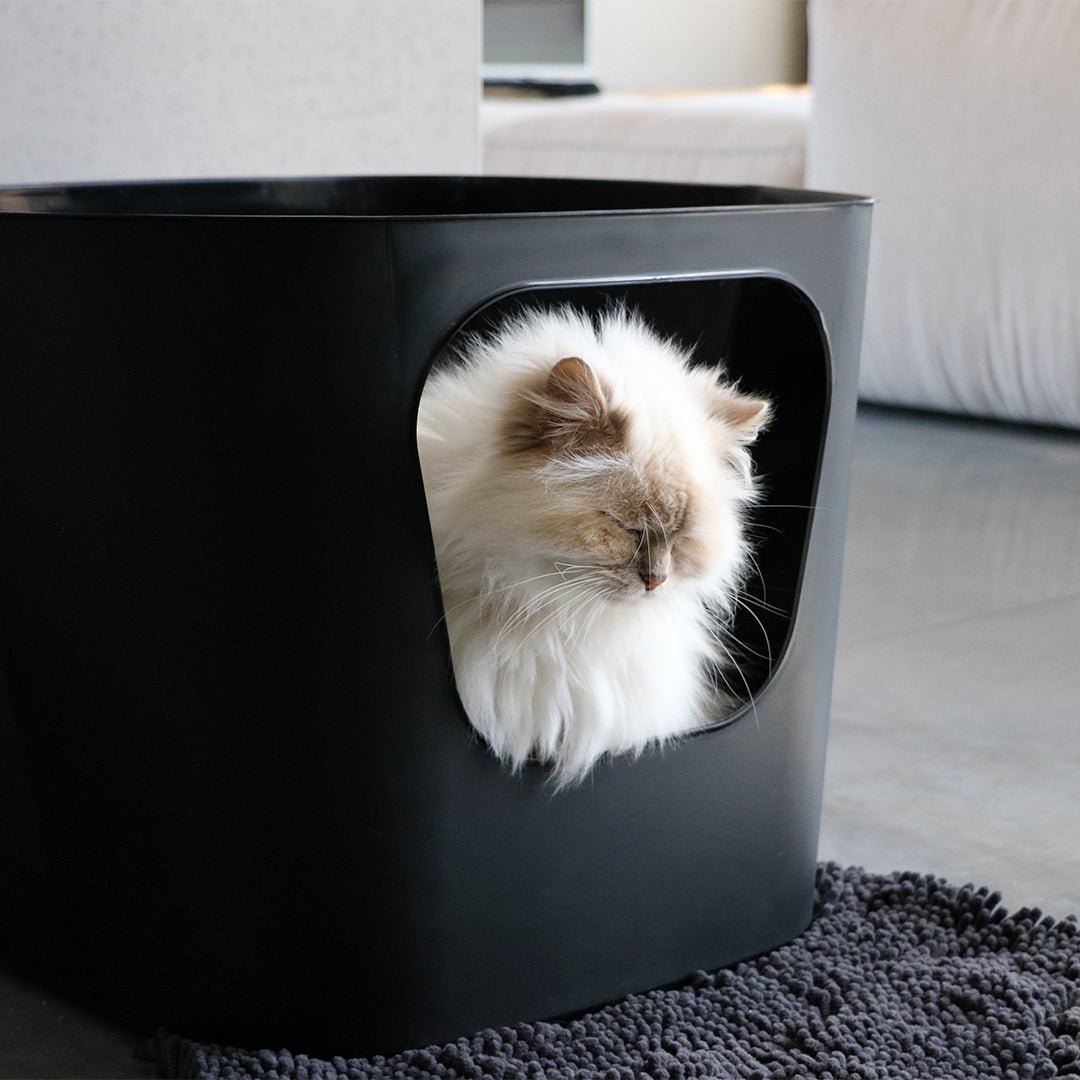 DAISY - Katzenklo-Matte