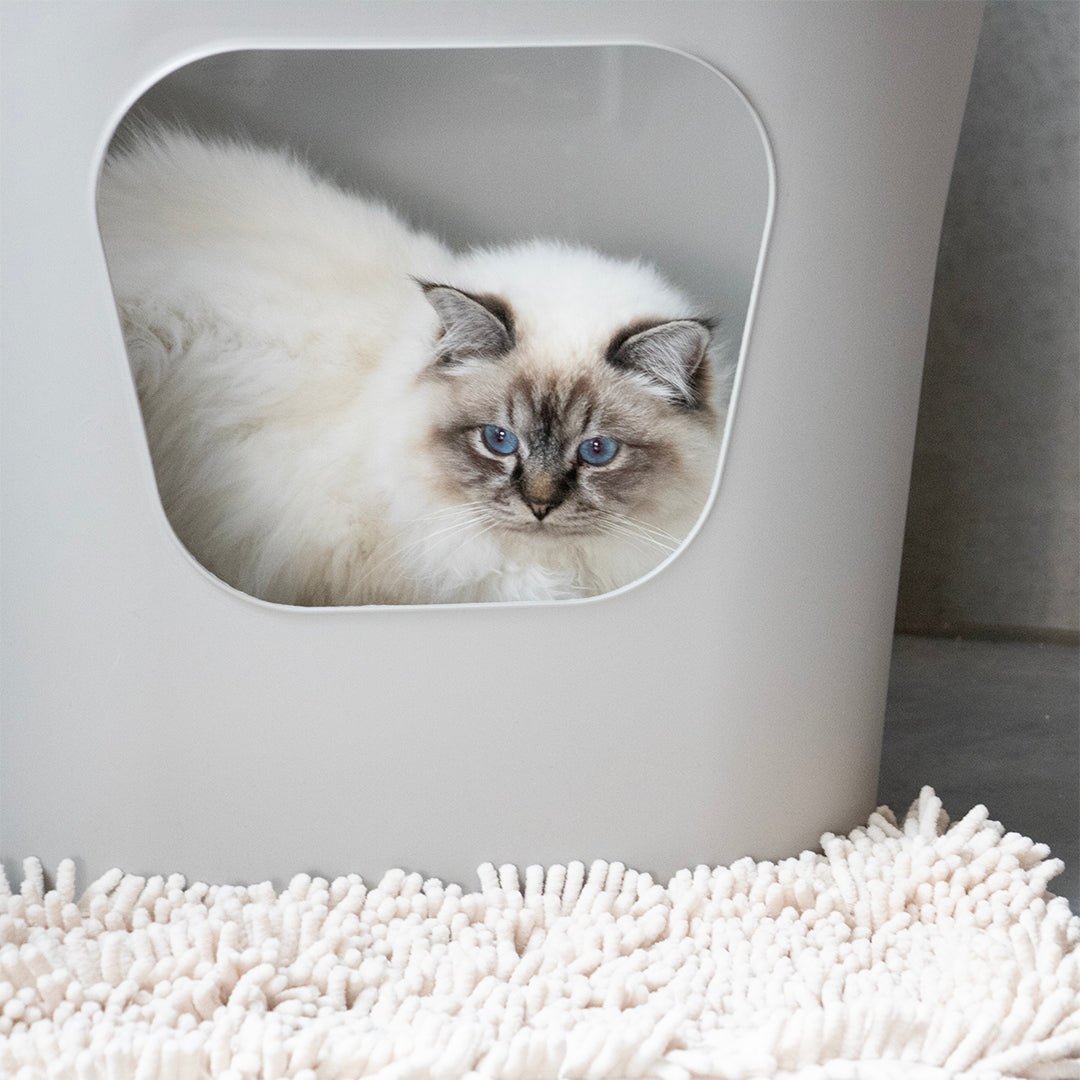 DEAN - Katzentoilette