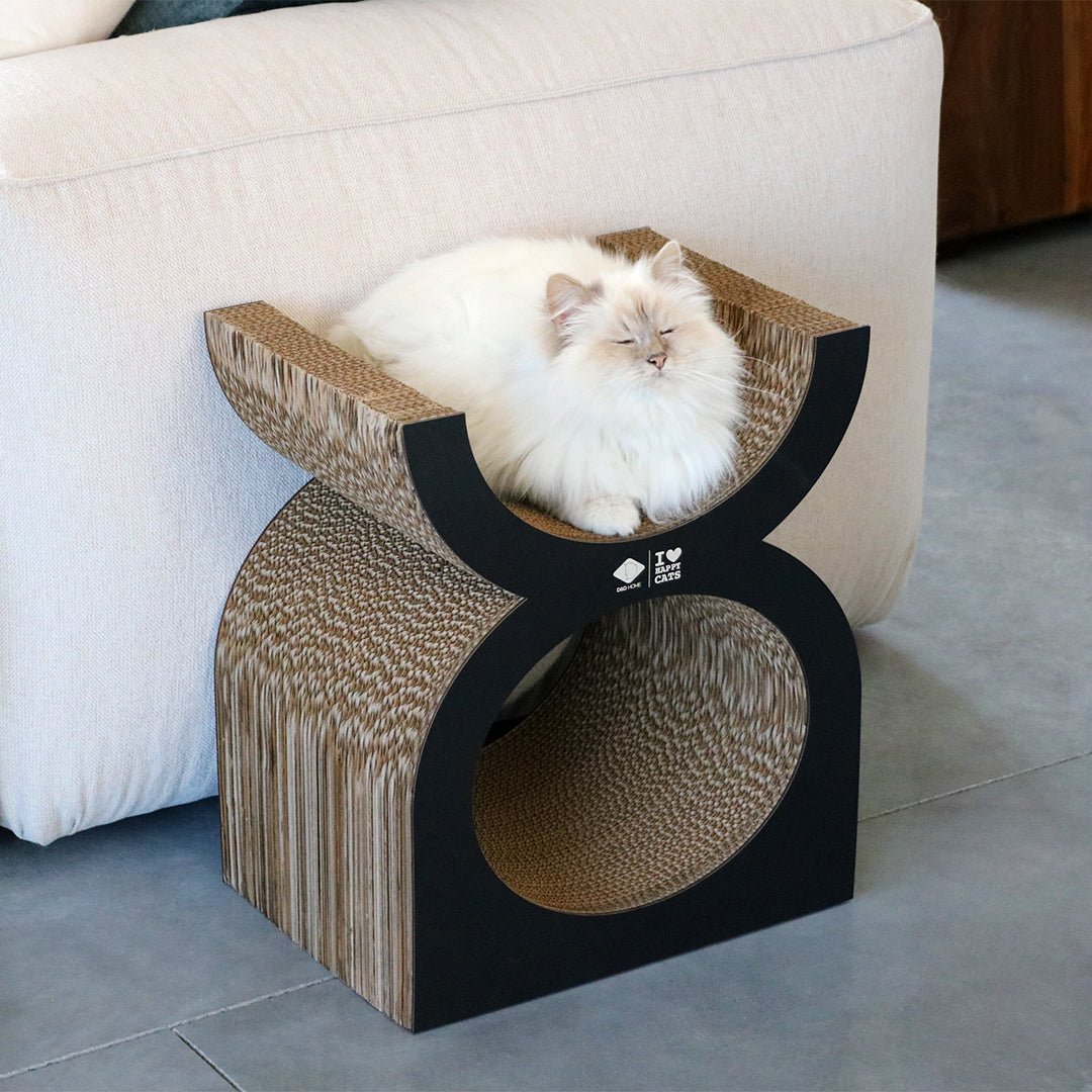 FAYE - Kratz-Lounge