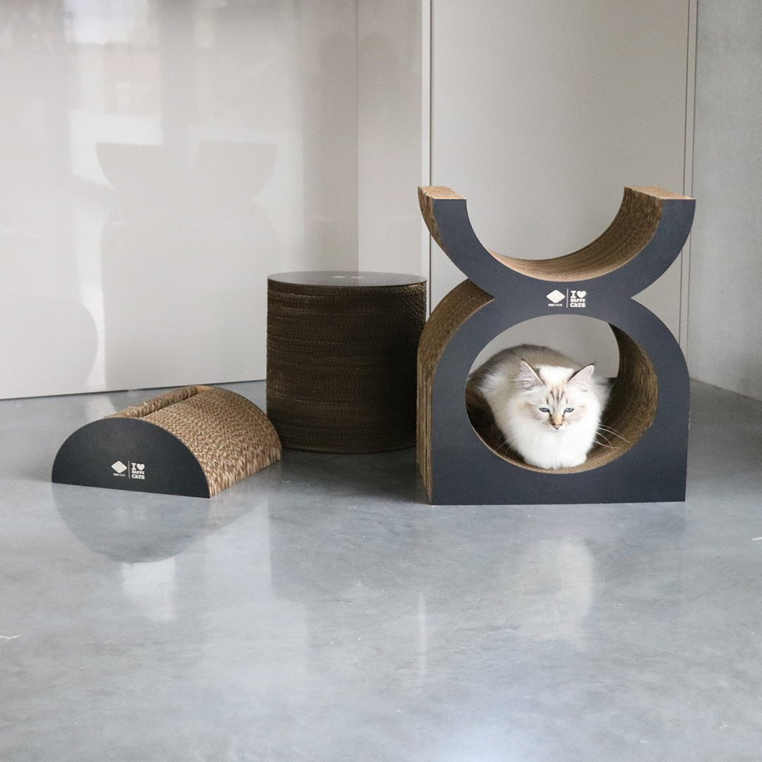 FAYE - Kratz-Lounge