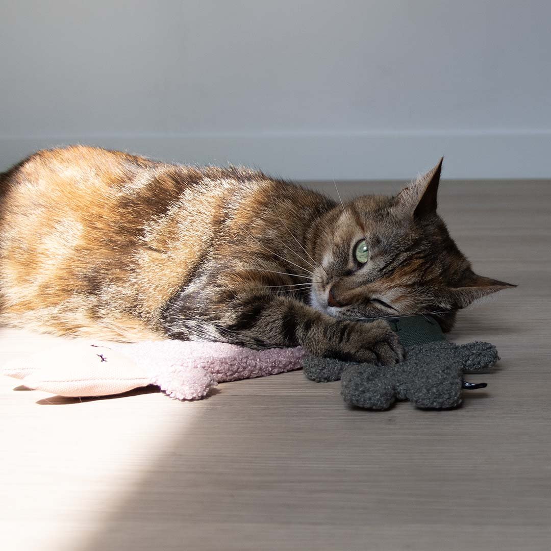ALFIE XL - Katzenspielzeug