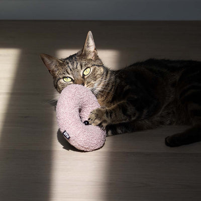 MAPLE - Katzenspielzeug