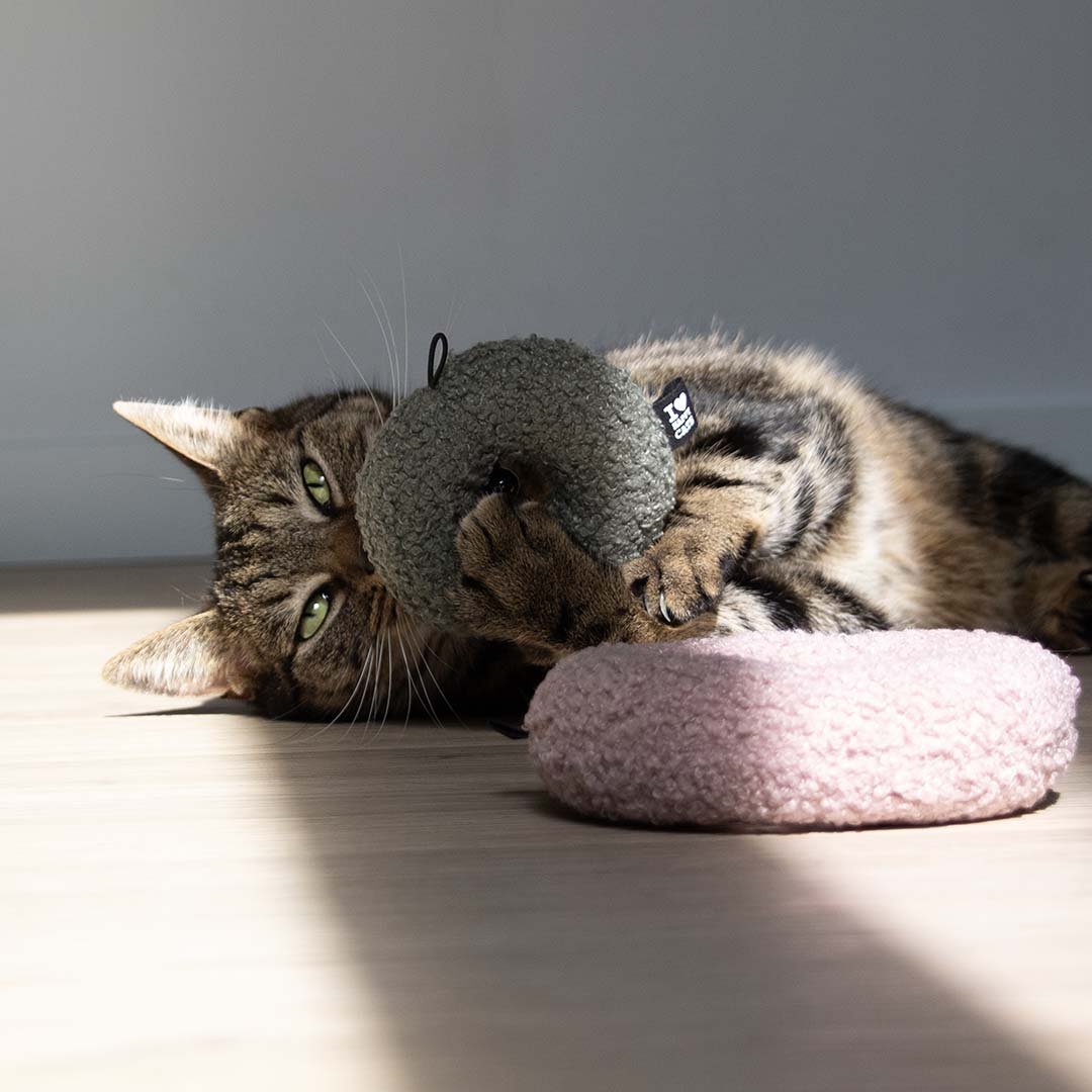 MAPLE - Katzenspielzeug