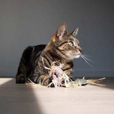 MILLY - Katzenspielzeug