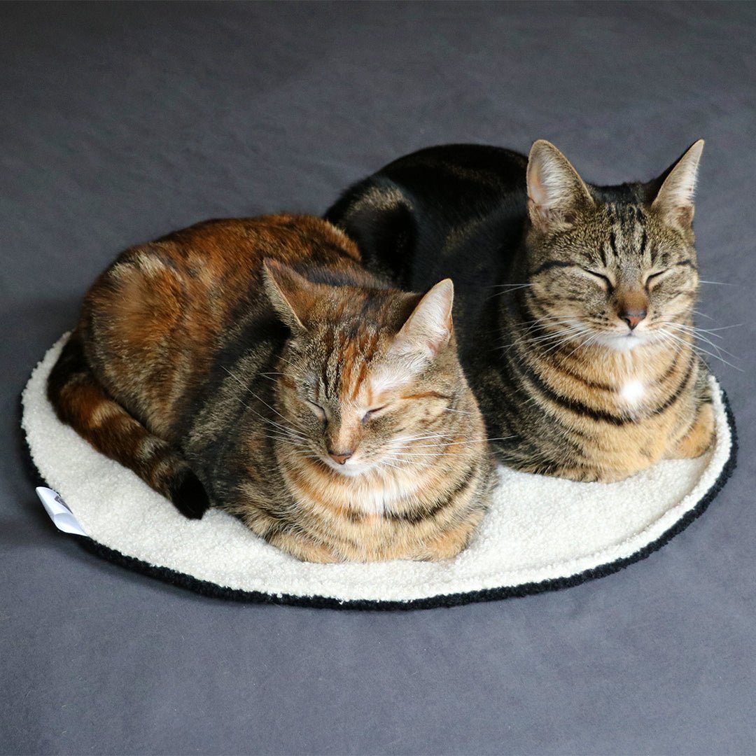 MAEVE - Runde Decke