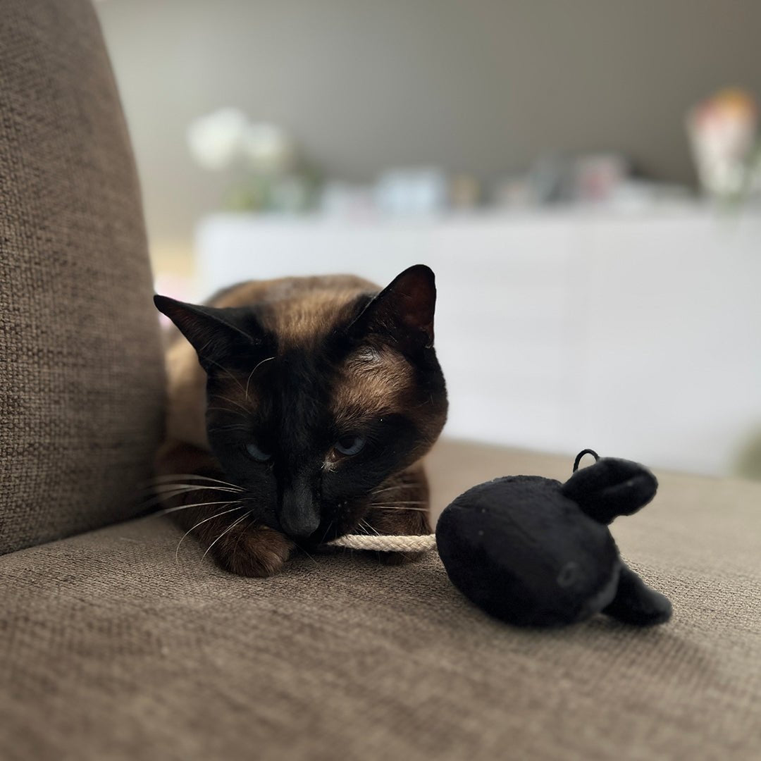 MOOSY - Spielmaus