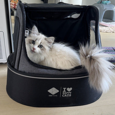PHOEBE - Transporttasche