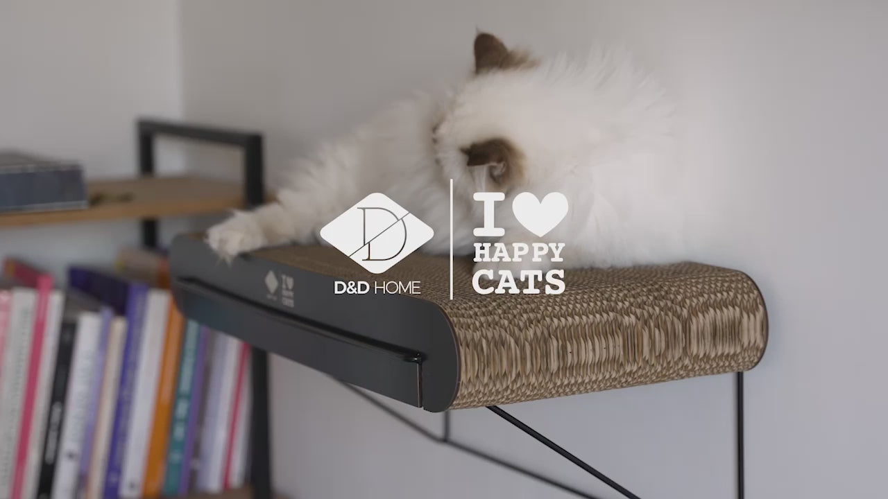 Video laden: 